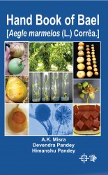 Cover of Hand book of Bael