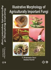 Cover of IIIustrative Morphology of Agriculturally Important Fungi