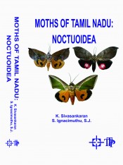 Cover of Moths of Tamil Nadu : Noctuoidea