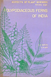 Cover of Polypodiaceous Ferns of India