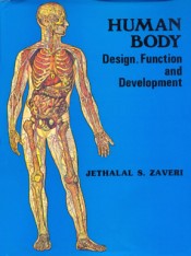 Cover of Human Body Design Function and Development