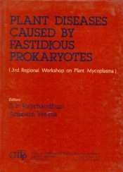 Cover of Plant Diseases Caused by Fastidious Prokaryotes (3rd Regional Workshop on Plant Mycoplasma)