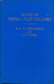 Cover of Review of Tropical Plant Pathology Vol 1: Diseases of Cereals, Maize and Millet